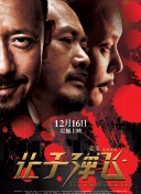 ckplayer国产